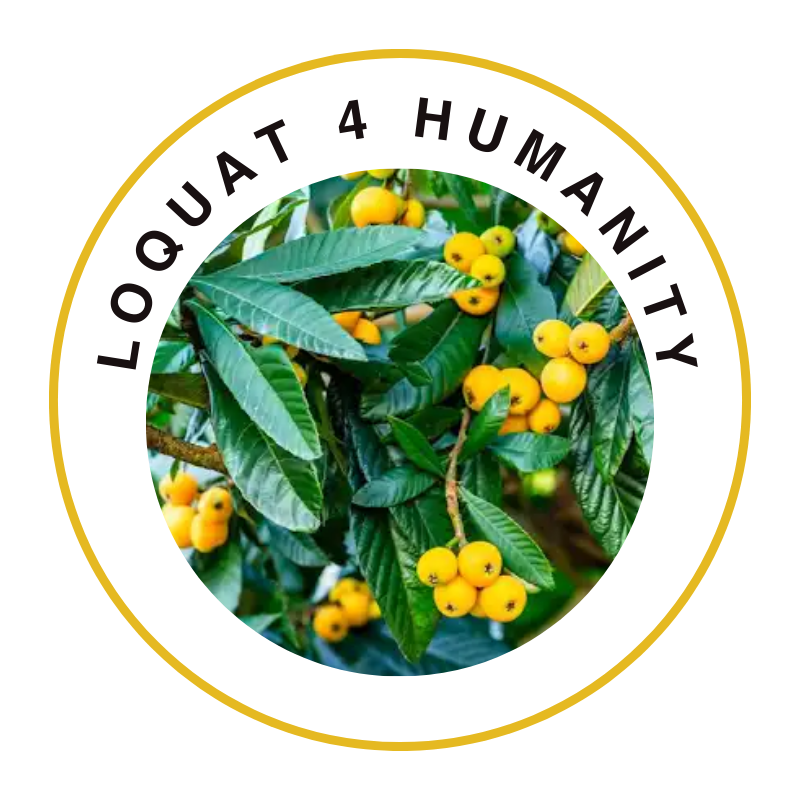 Loquat4Humanity logo